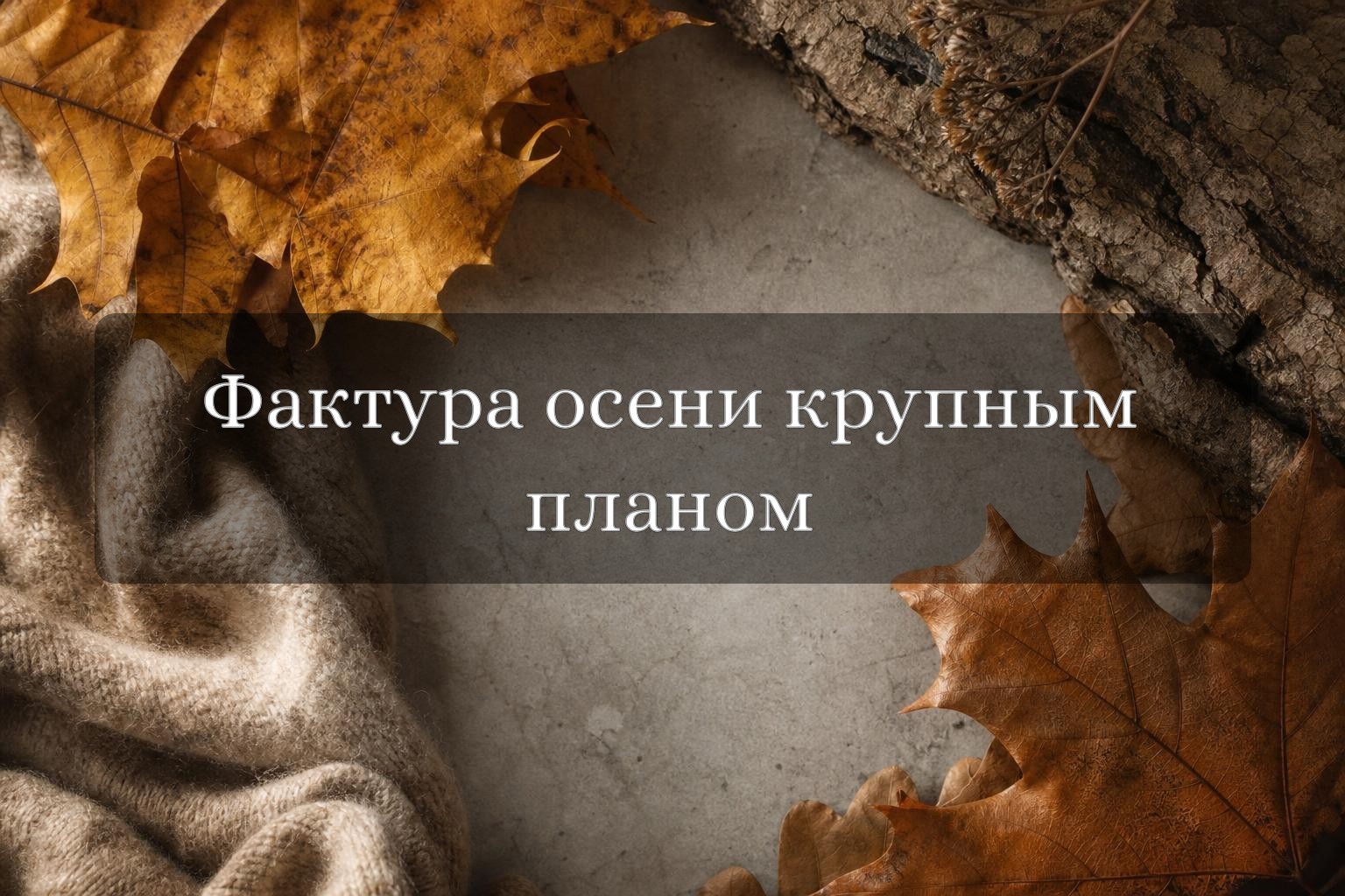 Крупный план осенних листьев, коры дерева, камня и ткани в боковом естественном свете